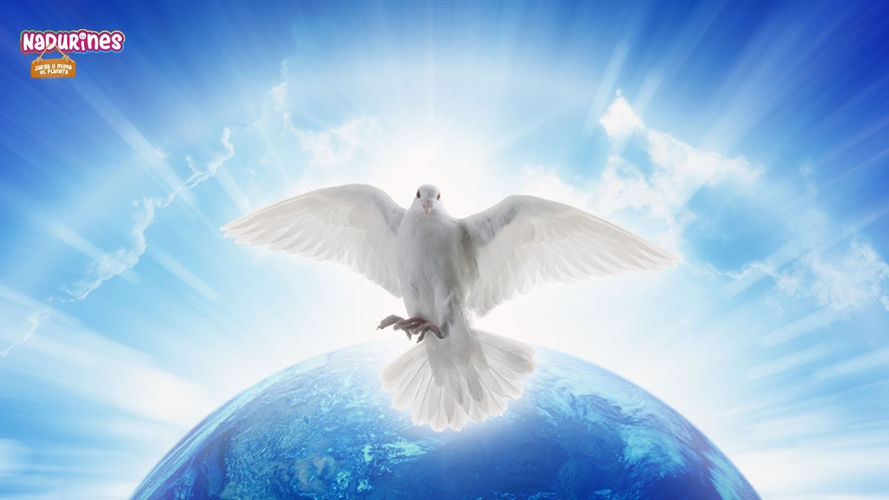 Neala y Darwin ayudan a la paloma blanca con la paz mundial