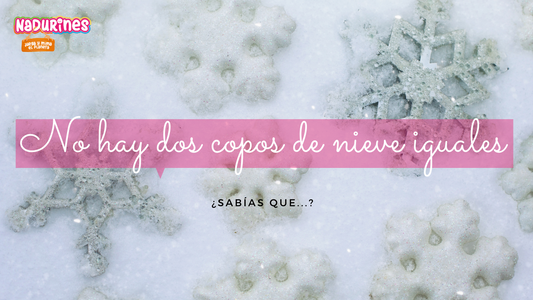 ¿Sabías que no hay dos copos de nieve iguales?